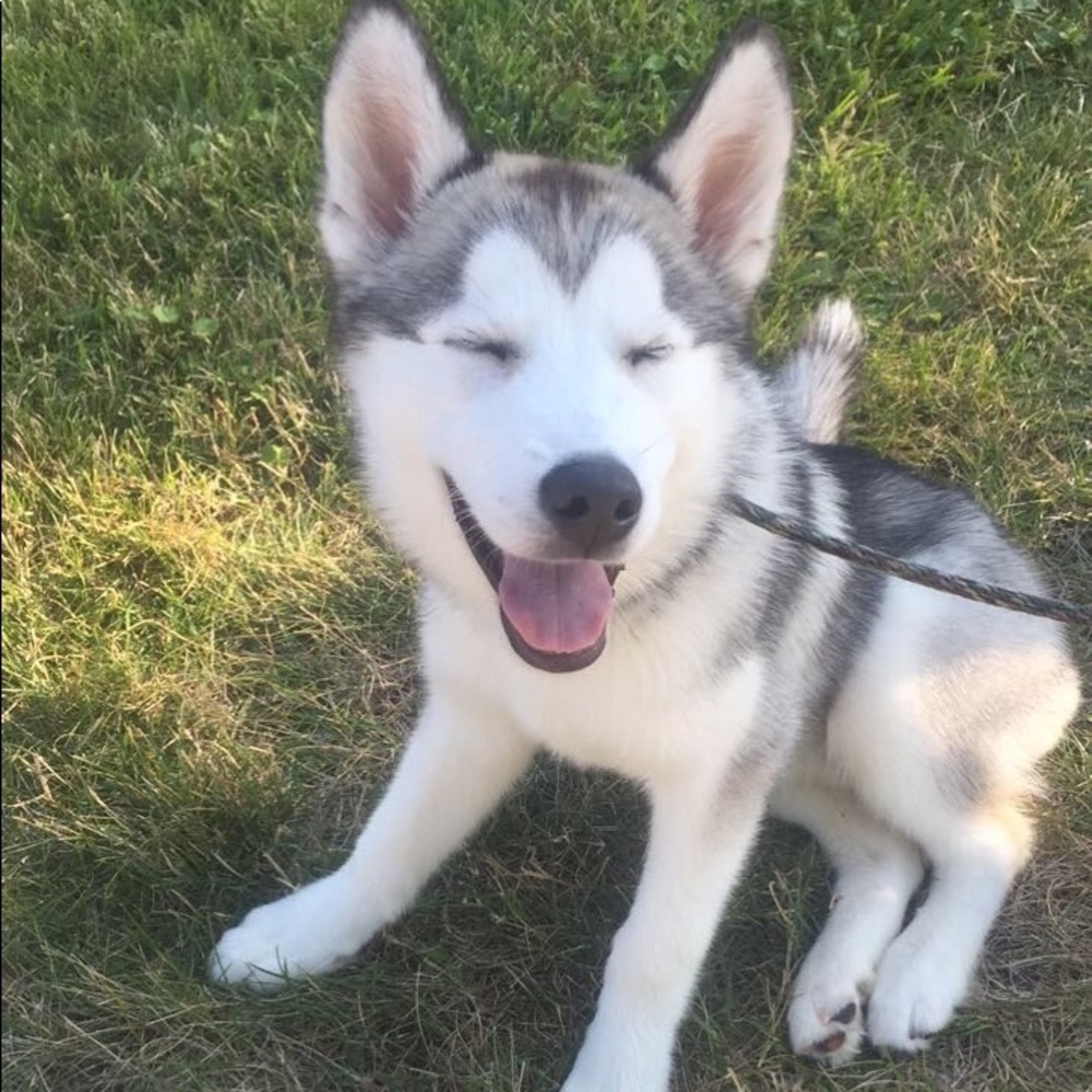 Meet your Posher, Christina